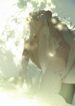 thumbnail (1)